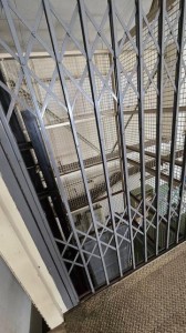 IMG_9184.JPG
