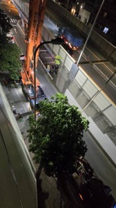 IMG_1359.JPG